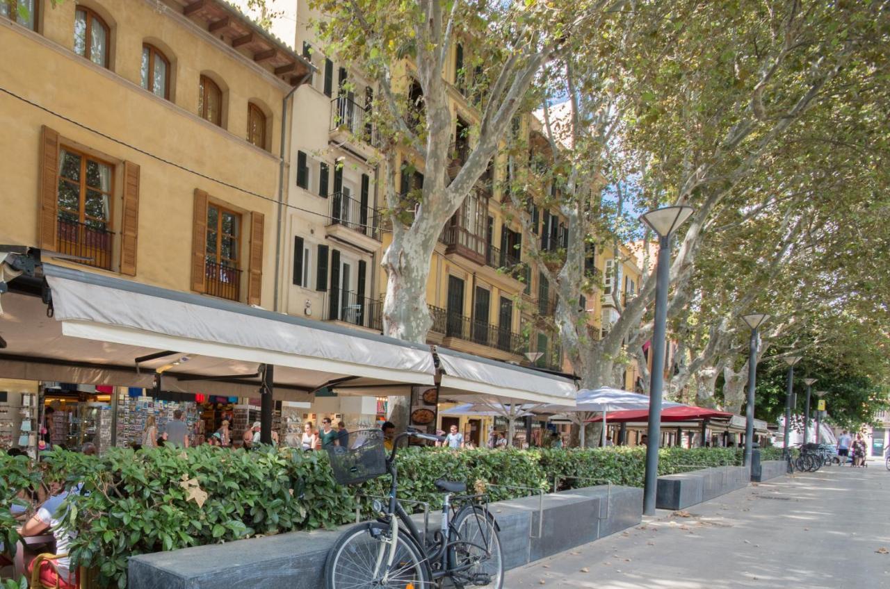 Marsuites Palma - Turismo De Interior Ti 162 Kültér fotó
